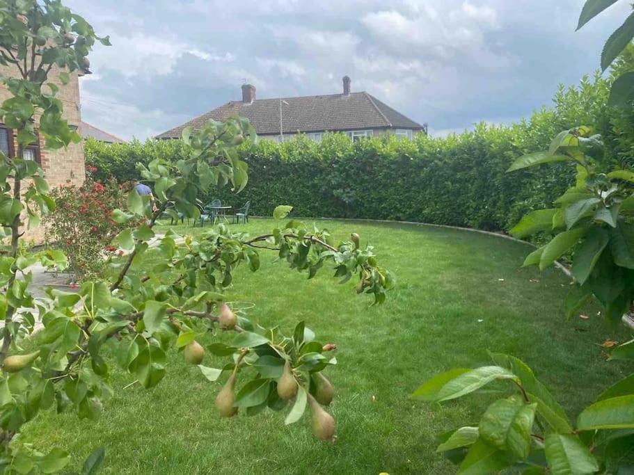 Lovely 1 Bed Studio Apartment With Free Parking Oxford Exteriér fotografie